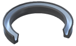 RS19