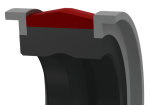 P54