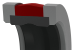 P53